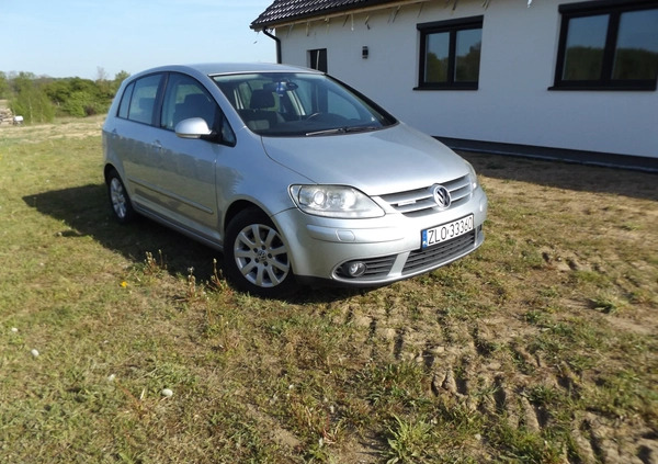 Volkswagen Golf Plus cena 16999 przebieg: 263000, rok produkcji 2009 z Płońsk małe 67